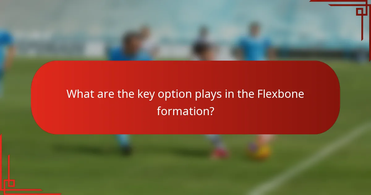 What are the key option plays in the Flexbone formation?