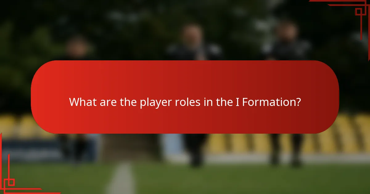 What are the player roles in the I Formation?