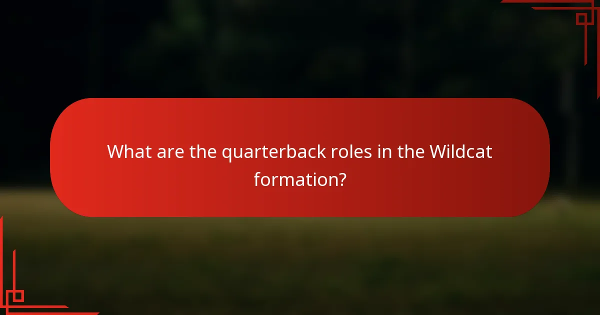 What are the quarterback roles in the Wildcat formation?