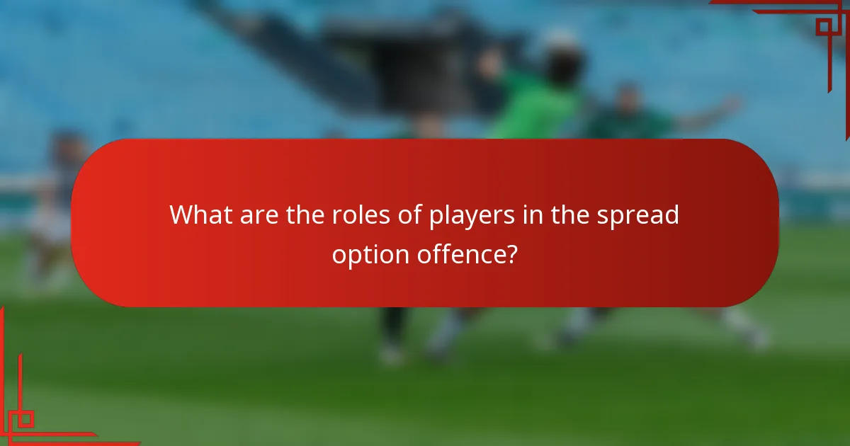 What are the roles of players in the spread option offence?